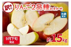 【2025年9月下旬発送】 【訳あり】旬の美味しいりんご 約15kg 青森産 【おまかせ2品種】