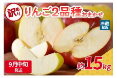 【2025年9月中旬発送】 【訳あり】旬の美味しいりんご 約15kg 青森産 【おまかせ2品種】
