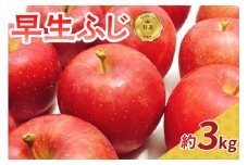 【2025年10月発送】 りんご 青森 【特選】 早生 ふじ 約 3kg  