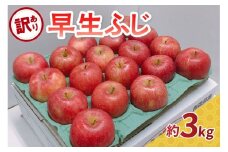 【2025年10月発送】 りんご 訳あり 早生 ふじ 約3kg 【 青森 林檎 フジ リンゴ ワケアリ 】