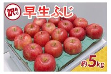 【2025年 10月発送】 りんご 訳あり 約5kg 早生 ふじ 【 青森 林檎 フジ リンゴ ワケアリ 】