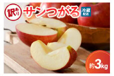 訳あり りんご 3kg  9月 サンつがる  青森【2025年 リンゴ 林檎 果物 クール便】 