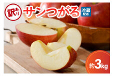 訳あり りんご 3kg  9月 サンつがる  青森【2025年 リンゴ 林檎 果物 クール便】 