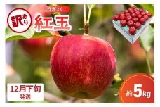 【2025年12月下旬発送】【訳あり】 りんご 5kg 紅玉 アップルパイ に最適 青森 不揃い