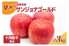訳あり りんご3kg 程度【2025年11月後半発送】サンジョナゴールド 青森|不揃いリンゴ