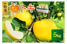 【2025年10月発送】【樹上完熟】特選 青森りんごトキ(5kg) 贈答