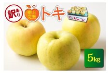 【2025年10月発送】【樹上完熟】訳あり 青森りんごトキ(5kg)