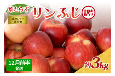 【2025年12月前半発送】【訳あり】青森県産葉とらずサンふじりんご約3kg