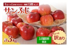 【先行受付】【2026年3月前半発送】 【訳あり】 りんご 約3kg サンふじ 青森産