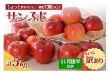 【先行受付】【2025年11月後半発送】 【訳あり】 りんご 約5kg サンふじ 青森産