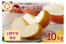 【2026年2月下旬発送】 【訳あり】 りんご 約10kg サンふじ 青森産