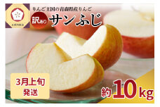 【2026年3月上旬発送】 【訳あり】 りんご 約10kg サンふじ 青森産