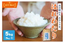 【令和7年 新米 先行受付】 米 はれわたり 5kg 特A 取得歴有 特別栽培米 青森県産 【2025年11月より順次発送】【KonRiceFarmの お米 精米 白米 晴れ渡り 晴れわたり harewatari 五所川原 】