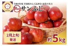 【2026年2月上旬発送】【訳あり】りんご 青森産 約5kg サンふじ