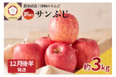 【2025年12月後半発送】 訳あり りんご サンふじ 約 3kg 青森 果物 【 訳アリ リンゴ 林檎 ふじ さんふじ 】