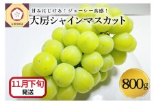 【2025年11月下旬発送】 シャインマスカット 大房 800g 青森産