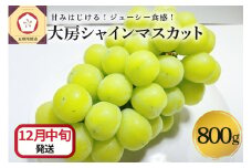 【2025年12月中旬発送】 シャインマスカット 大房 800g 青森産