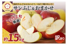 【2026年2月上旬発送】 【訳あり】 りんご 15kg 詰め合わせ 計2種(サンふじ と 他1種) 不揃い フルーツ 家庭用