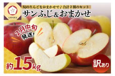【2026年2月中旬発送】【訳あり】 りんご 15kg 詰め合わせ 計2種(サンふじ と 他1種) 不揃い フルーツ 家庭用