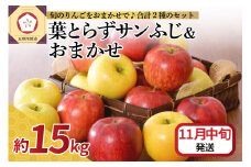 【2025年11月中旬発送】 りんご 15kg 詰め合わせ 計2種(葉とらず サンふじ と 他1種)