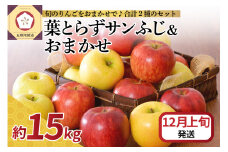 【2025年12月上旬発送】 りんご 15kg 詰め合わせ 計2種(葉とらず サンふじ と 他1種)