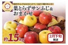 【2026年2月下旬発送】 りんご 15kg 詰め合わせ 計2種(葉とらず サンふじ と 他1種)