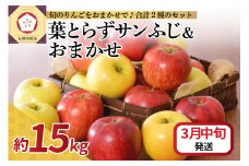 【2026年3月中旬発送】 りんご 15kg 詰め合わせ 計2種(葉とらず サンふじ と 他1種)