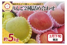 【2026年3月下旬発送】 りんご 5kg サンふじ 王林 他 紅白 詰め合わせ 青森