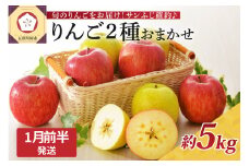【2026年1月前半発送】 りんご 青森産 約5kg サンふじ 確約 品種おまかせ2種以上 贈答用 特選～特秀