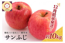 【2025年12月前半発送】 りんご 約10kg サンふじ 青森産 糖度 13度以上　贈答用 特選～特秀