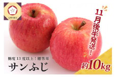 【2025年11月後半発送】 りんご 約10kg サンふじ 青森産 糖度 13度以上　贈答用 特選～特秀
