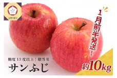 【2026年1月前半発送】 りんご 約10kg サンふじ 青森産 糖度 13度以上　贈答用 特選～特秀
