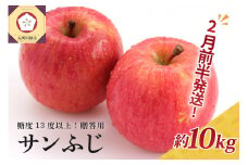 【2026年2月前半発送】 りんご 約10kg サンふじ 青森産 糖度 13度以上　贈答用 特選～特秀