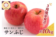 【2026年3月後半発送】 りんご 約10kg サンふじ 青森産 糖度 13度以上　贈答用 特選～特秀