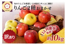 【2025年12月後半発送】 【訳あり】 りんご 約10kg サンふじ確約 青森産 品種おまかせ2種以上