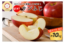 【2025年12月下旬発送】 【訳あり】 りんご 約10kg サンふじ 青森産