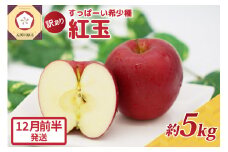 紅玉5kg 程度 紅玉リンゴ 訳あり 青森|タルトタタン に最適 不揃い りんご 【12月前半発送】