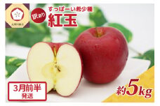 紅玉5kg 程度 紅玉リンゴ 訳あり 青森|タルトタタン に最適 不揃い りんご 【3月前半発送】