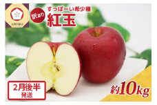 紅玉10kg 程度 紅玉リンゴ 訳あり 青森|タルトタタン に最適 不揃い りんご 【2月後半発送】