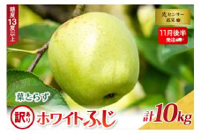【2025年11月後半発送】【訳あり】葉とらずホワイトふじ10kg