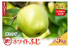 【2025年12月前半発送】【訳あり】葉とらずホワイトふじ5kg