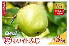 【2025年11月後半発送】【訳あり】葉とらずホワイトふじ3kg