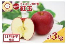 紅玉3kg 程度 紅玉リンゴ 訳あり 青森|タルトタタン に最適 不揃い りんご 【2025年11月後半発送】