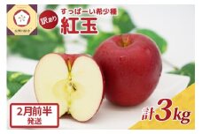 紅玉3kg 程度 紅玉リンゴ 訳あり 青森|タルトタタン に最適 不揃い りんご 【2026年2月前半発送】