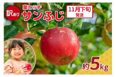 【2025年11月下旬発送】りんご 5kg 程度 葉とらず サンふじ 11月 12月 訳あり 青森産 りんご ふじ 【 サンふじりんご 葉とらずりんご リンゴジュースやお菓子作りにも くだものフルーツ果物林檎約5kg 】