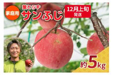 【2025年12月上旬発送】りんご 5kg 程度 葉とらず サンふじ 11月 12月 家庭用 青森産 りんご ふじ 【 サンふじりんご 葉とらずりんご リンゴジュースやお菓子作りにも くだものフルーツ果物林檎約5kg 】