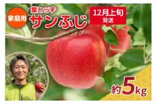 【2025年12月上旬発送】りんご 5kg 程度 葉とらず サンふじ 11月 12月 家庭用 青森産 りんご ふじ 【 サンふじりんご 葉とらずりんご リンゴジュースやお菓子作りにも くだものフルーツ果物林檎約5kg 】