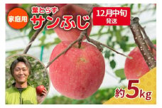 【2025年12月中旬発送】りんご 5kg 程度 葉とらず サンふじ 11月 12月 家庭用 青森産 りんご ふじ 【 サンふじりんご 葉とらずりんご リンゴジュースやお菓子作りにも くだものフルーツ果物林檎約5kg 】