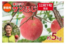 【2025年12月下旬発送】りんご 5kg 程度 葉とらず サンふじ 11月 12月 家庭用 青森産 りんご ふじ 【 サンふじりんご 葉とらずりんご リンゴジュースやお菓子作りにも くだものフルーツ果物林檎約5kg 】
