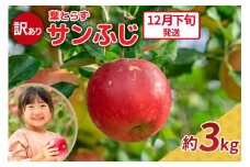 【2025年12月下旬発送】りんご 3kg 程度 葉とらず サンふじ 11月 12月 訳あり 青森産 りんご ふじ 【 サンふじりんご 葉とらずりんご リンゴジュースやお菓子作りにも くだものフルーツ果物林檎約3kg 】